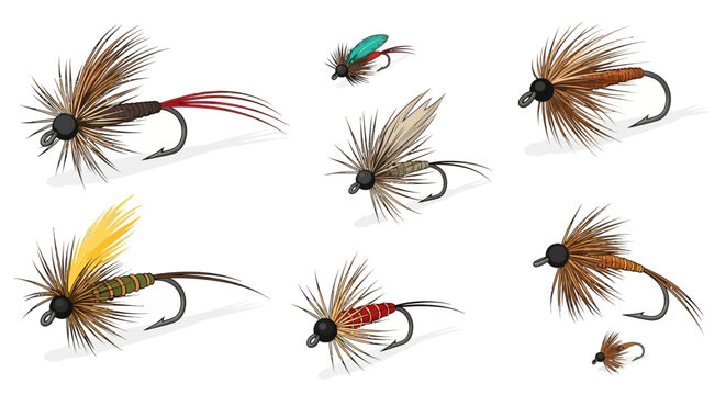 Assorted Fly Fishing Lures.
