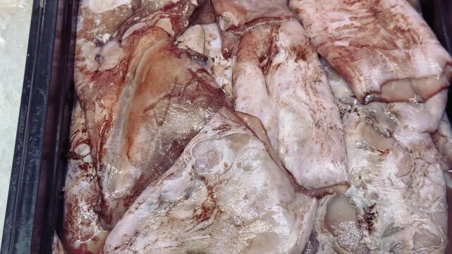 Close-up squid carcasses in container showing raw pale flesh and tentacles on ice in fish store vendor arranging tray, salt