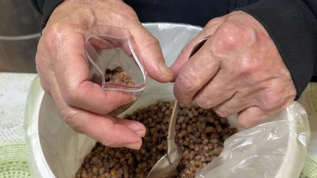 Close-up hands scooping pollen pellets into clear bag, beekeeper man packs artisanal pollen with metal spoon over large bulk bin
