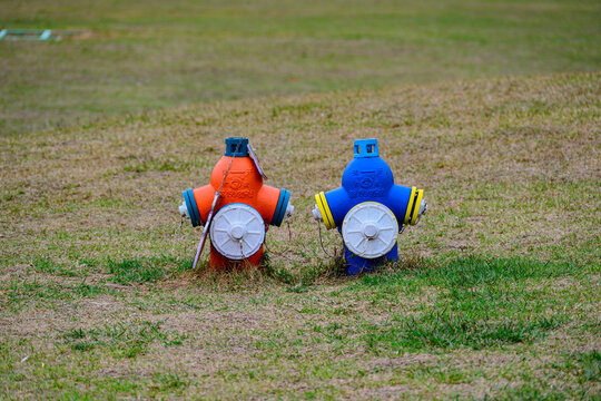 Two brightly colored fire hydrants stand on patchy grass, contrasting vividly against the soft natural background.
