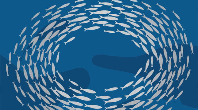 Shoal of Silver Fish Swirling in Deep Blue Ocean