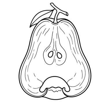 hand drawn rose apple slice
