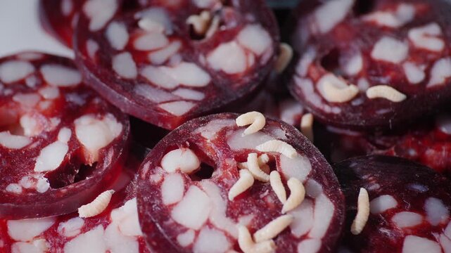 White fly larvae maggots crawling on slices of spoiled meat sausage in macro video.