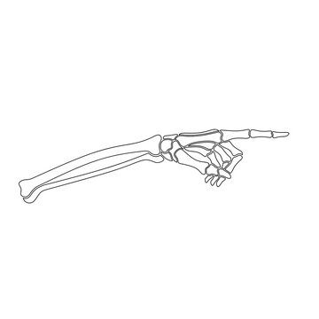 Skull hand pointing direction line image,hand skull pointing direction outline vector, skeleton hand pointing direction gesture line image,pointing direction skull hand pose outline design 