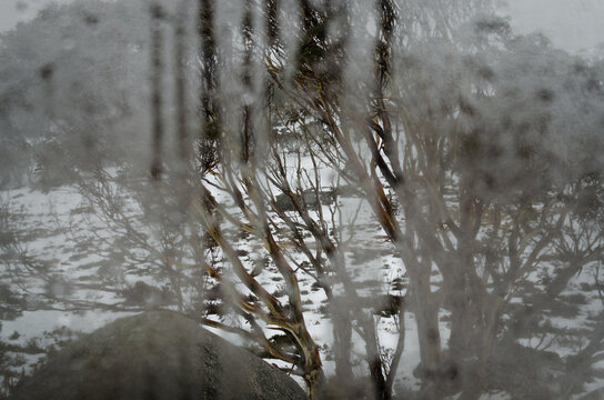 Condensation covered window overlooking snowy winter landscape