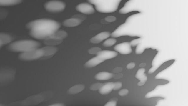 Soft blurred leaf shadow overlay texture. Abstract foliage gobo light effect background.