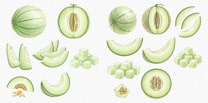 Fresh cantaloupe melon set with whole, half, sliced, and diced pieces on transparent background.