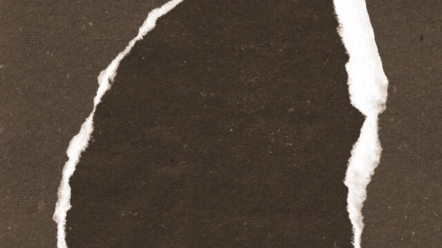 Torn dark brown paper texture revealing rough white edges in a cinematic motion video animation for professional creative design projects