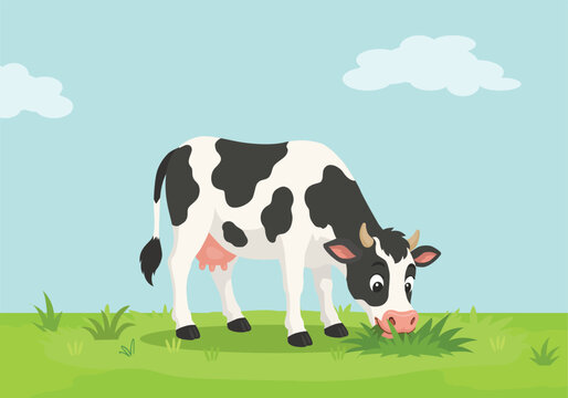 Cow eating grass in the field
