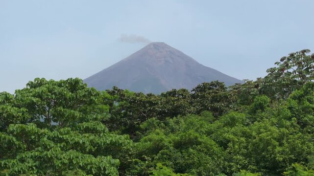 Majestic Fuego volcano releases volcanic smoke from its peak while dense tropical rainforest trees fill foreground in Guatemala. The conical stratovolcano rises dramatically against a hazy blue sky.