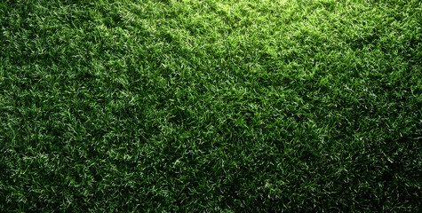 Fototapeta premium Top view of lush green grass lawn texture background