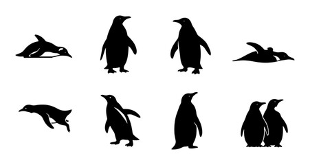 Penguin Silhouettes Collection, Antarctic Wildlife Vector Icons, Diverse Poses and Actions, Black and White Animal Graphics for Design © Karim