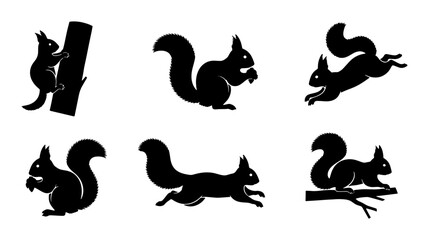 Black Silhouette Squirrel Icons, Vector Set: Climbing, Running, Eating, Perched Wildlife Graphics for Nature and Forest Themes © Imran