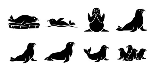 Seal Vector Icons Set, Marine Mammal Silhouettes Collection, Aquatic Wildlife Illustrations, Arctic Animals Graphics © Farzana
