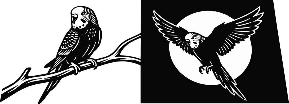 Budgie Bird Illustration Set Featuring Detailed Line Art of Parakeet Perching on Branch and Flying Against Full Moon for Nature Themed Projects.