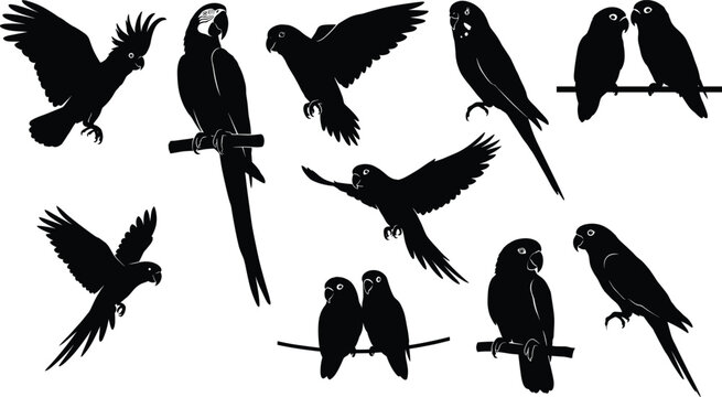 Comprehensive Collection of Tropical Parrot Silhouettes Featuring Macaws Cockatoos and Lovebirds Flying or Perching Isolated on White Background for Exotic Nature Designs.