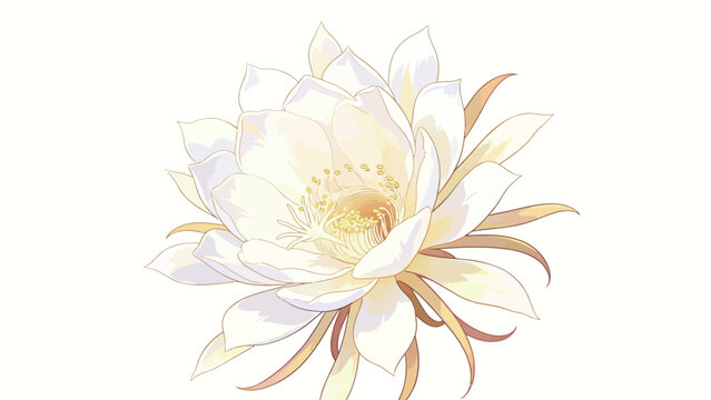 Ethereal Delicate Digital Illustration of Fully Bloomed White Night-Blooming Cereus Epiphyllum with Warm Golden Outlines, Gentle Cream Tones, On Clean Off-White Background