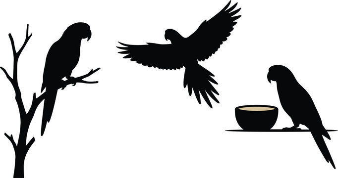 Tropical parrot silhouette collection, flying perched feeding birds, exotic wildlife vector art, black shadow illustration of nature and forest animals