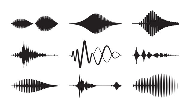 Collection of various sound waveform visualisations representing audio signal frequencies.