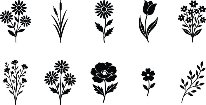 Black flower silhouette set isolated on white background featuring daisy tulip poppy and wild floral botanical branch illustrations