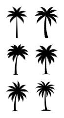 Fototapeta premium Set of Palm Tree Silhouettes, Tropical Plant Vector Illustrations