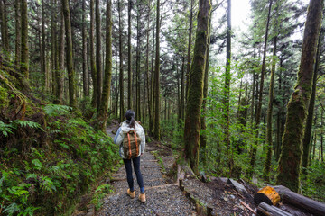 Obraz premium Female hiker exploring autumn forest with colorful tree path
