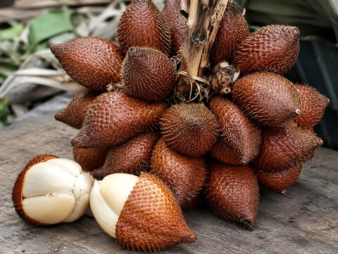 Snake fruit (scientific name: Salacca zalacca) is a native Indonesian fruit that is very popular and known internationally as snake fruit because its outer skin is brown and scaly, resembling snake sk
