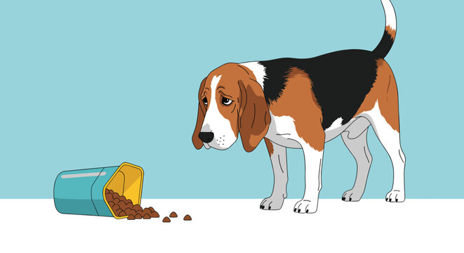 Disappointed beagle dog stands on a white floor looking down sadly at its spilled bowl of brown kibble against a plain light blue background.