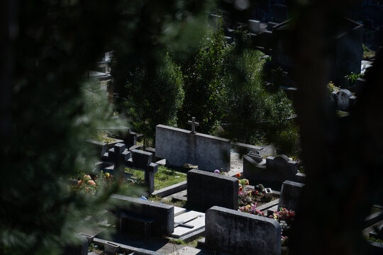 Tumbas en un cementerio vistas desde detr&aacute;s de un &aacute;rbol.