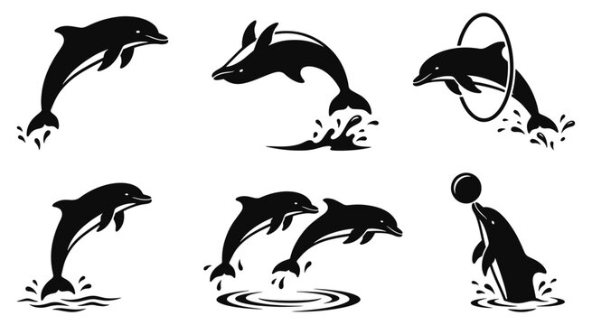 Playful dolphin silhouettes jumping out of ocean waves isolated on white background, Dolphin trained show silhouette