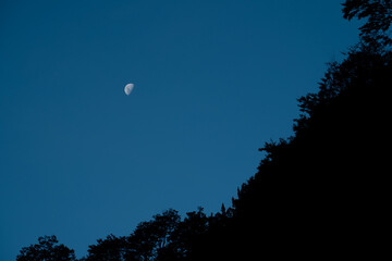 Luna menguante con el cielo azul de fondo y los árboles del bosque a contraluz. © Pamela