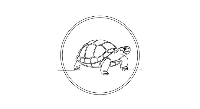 Tortoise Walking Inside Circle Illustration.