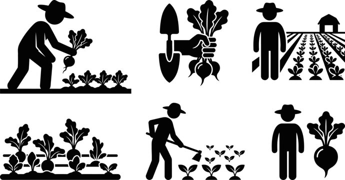 Set of black farmer silhouettes working with hoes and harvesting radishes in various agricultural poses for farming and gardening design on transparent background.