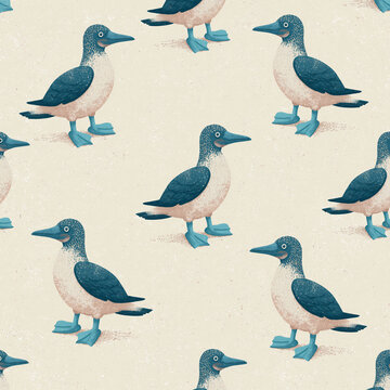Illustration showing a seamless pattern of blue footed booby birds standing on a textured light background for textile design