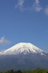 Fototapeta premium mount fuji in japan