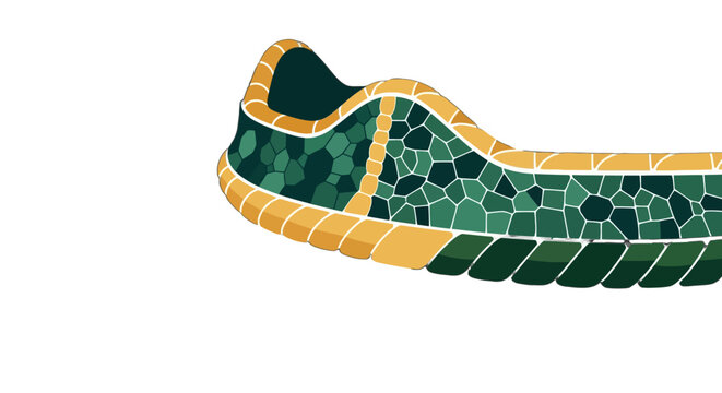 Colorful mosaic pattern shoe sole design illustration vector.