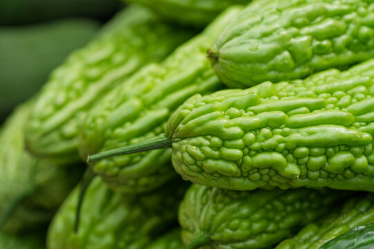 Fresh Bitter Gourd Closeup Green Fresh Vegetable Display