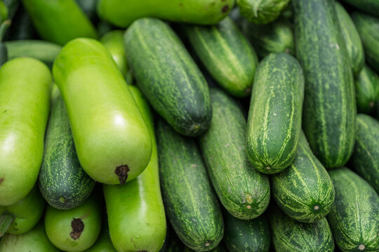 Fresh cucumbers and calabashes piled together