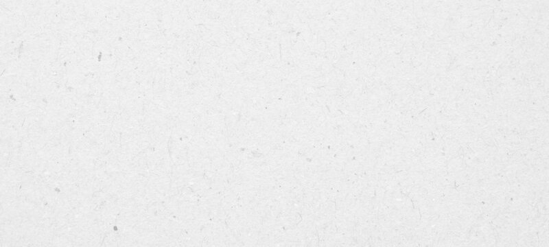 White recycle craft paper cardboard surface texture background