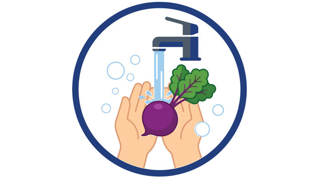 Hands washing a fresh purple beet under a metal faucet in a clean vector illustration