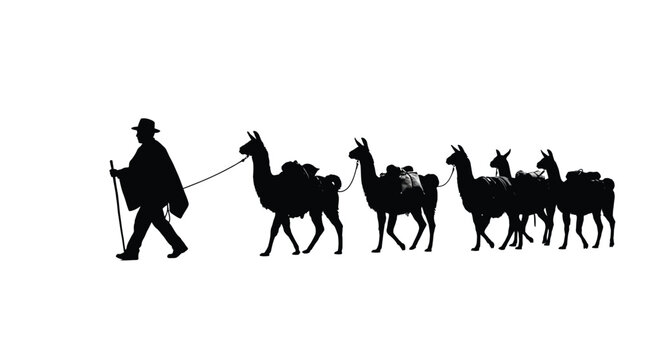 Black silhouette of an Andean man walking with a group of pack llamas carrying heavy bags against a clean and bright isolated white studio background