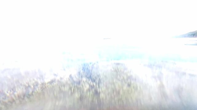 半水面ショット：水面を境界線に空と緑の海底を同時に捉えた美しいスプリット映像