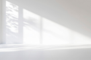 Minimal blurred White wall with shadow of leaves overlay backgrounds. Sunlight effect shadow on the wall. © Saichol