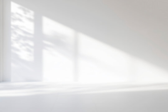 Minimal blurred White wall with shadow of leaves overlay backgrounds. Sunlight effect shadow on the wall.