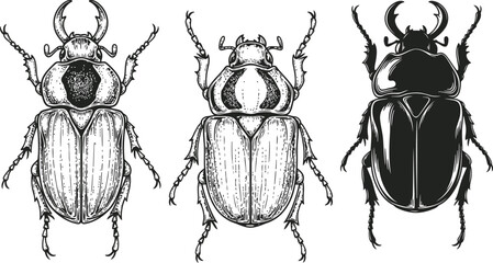 Three intricately drawn rhinoceros beetles with detailed exoskeletons against a white backdrop in a vintage scientific illustration style © Ishtiaq