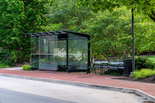 Modern glass bus stop shelter with metal benches, lamppost, and trash can on a red brick sidewalk, surrounded by lush green trees and bushes in an urban park setting. Ideal for public transport, city.