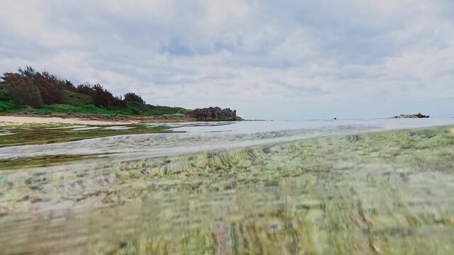半水面ショット：水面を境界線に空と緑の海底を同時に捉えた美しいスプリット映像