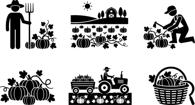 Autumn harvest pumpkin graphics showing tractor hauling produce and basket full of gourds for thanksgiving celebration and seasonal fall decoration at farm market site.