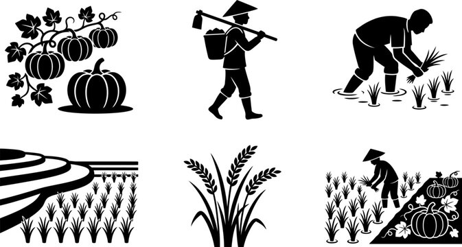 Rural agriculture icons showing farmer harvesting rice and pumpkin vegetables set silhouette vector graphics for farm business design layout element collection art.
