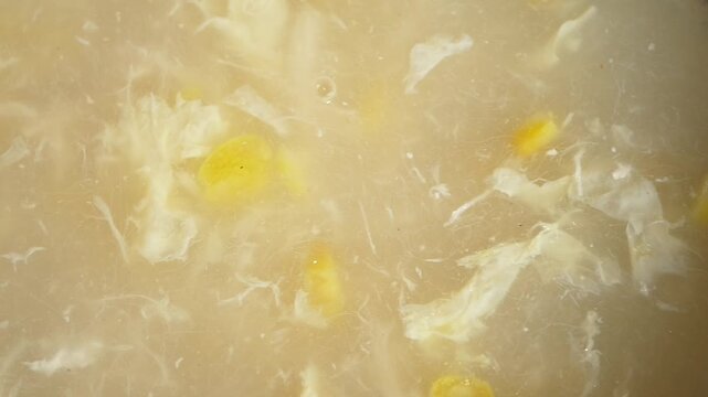 Soup preparation with cabbage and corn in a kitchen setting
